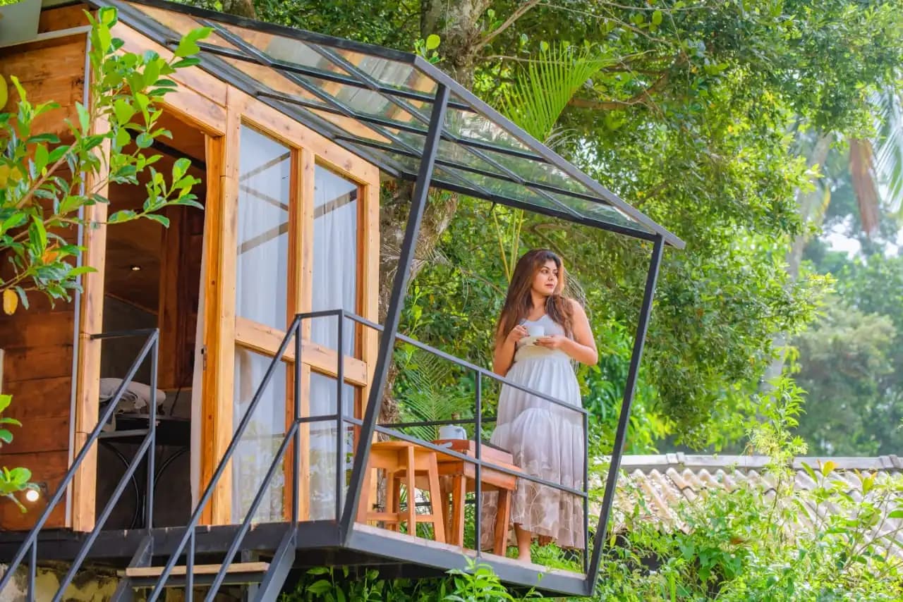 Tree House image