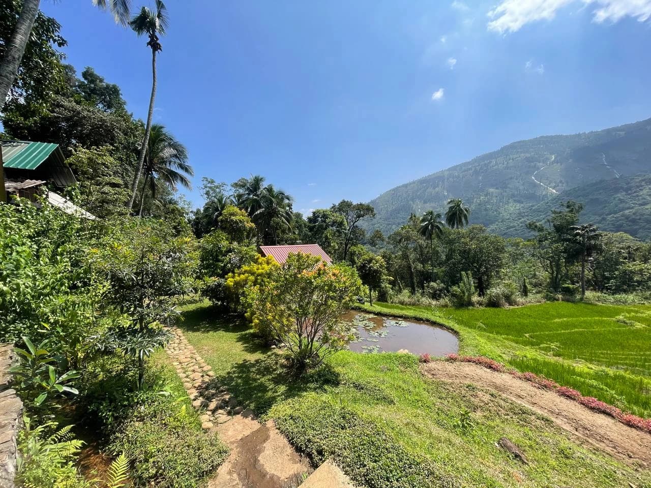 Natural Gardens