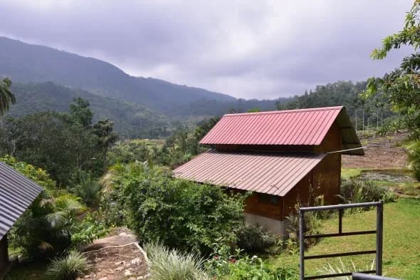 Eco-Friendly Villas